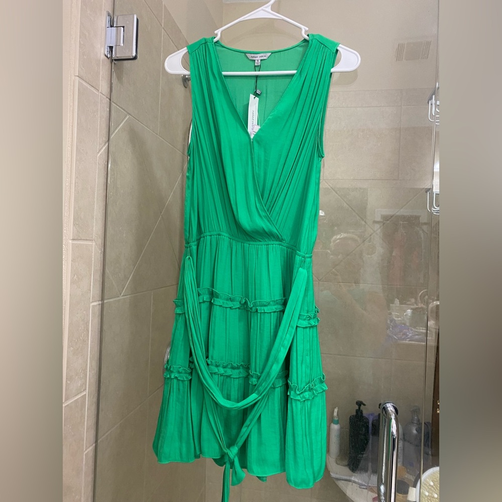 Naked Zebra green silky dress NWT S